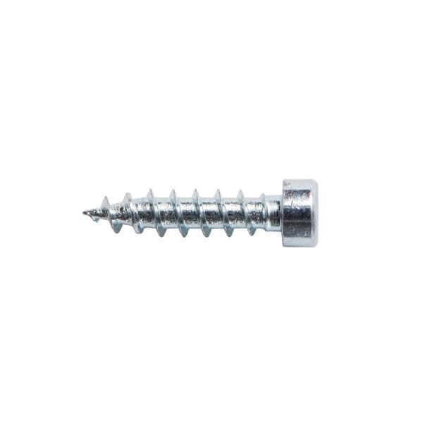 Picture of LAMELLO Clamex S-20 screw Ø3x12mm