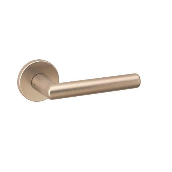 Picture of URFIC LEVER ON ROSE SS Effect
Rochelle