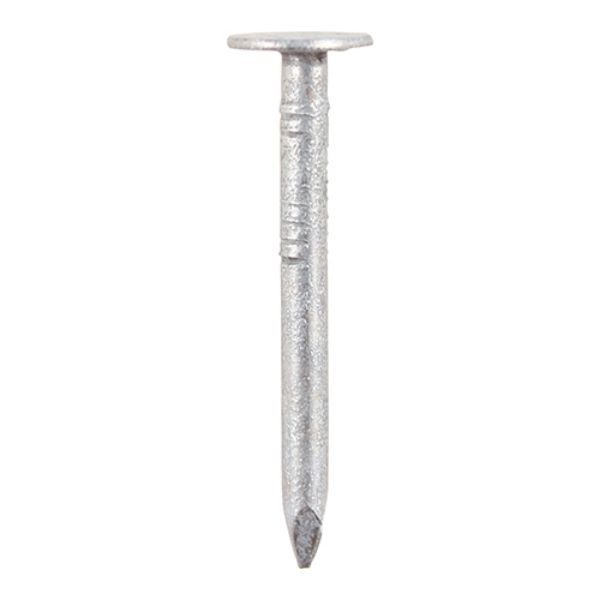 Picture of Clout Nails - Galvanised 40 x 2.65mm - 2.5kg Tub